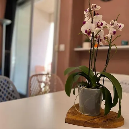 Joli 3 Pieces 40m2. 2 Chambres.